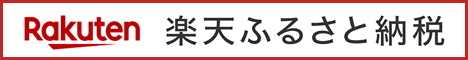 楽天ふるさと納税　愛知県江南市 なごやきしめん亭